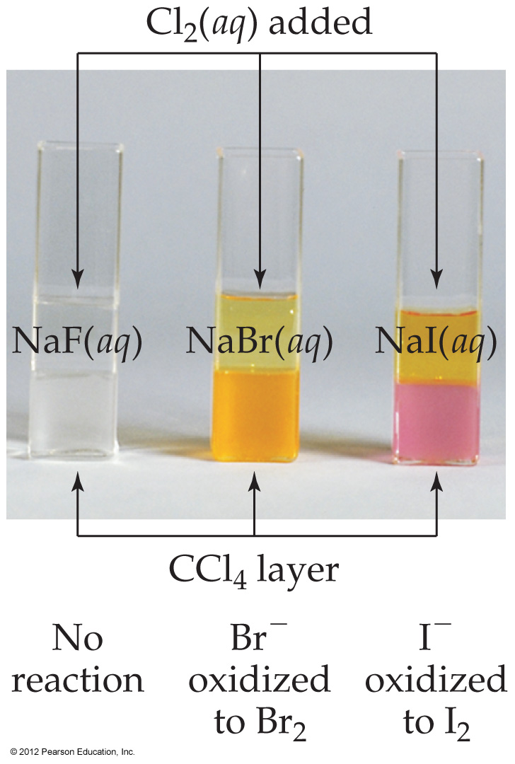Halogen Activity Experiment